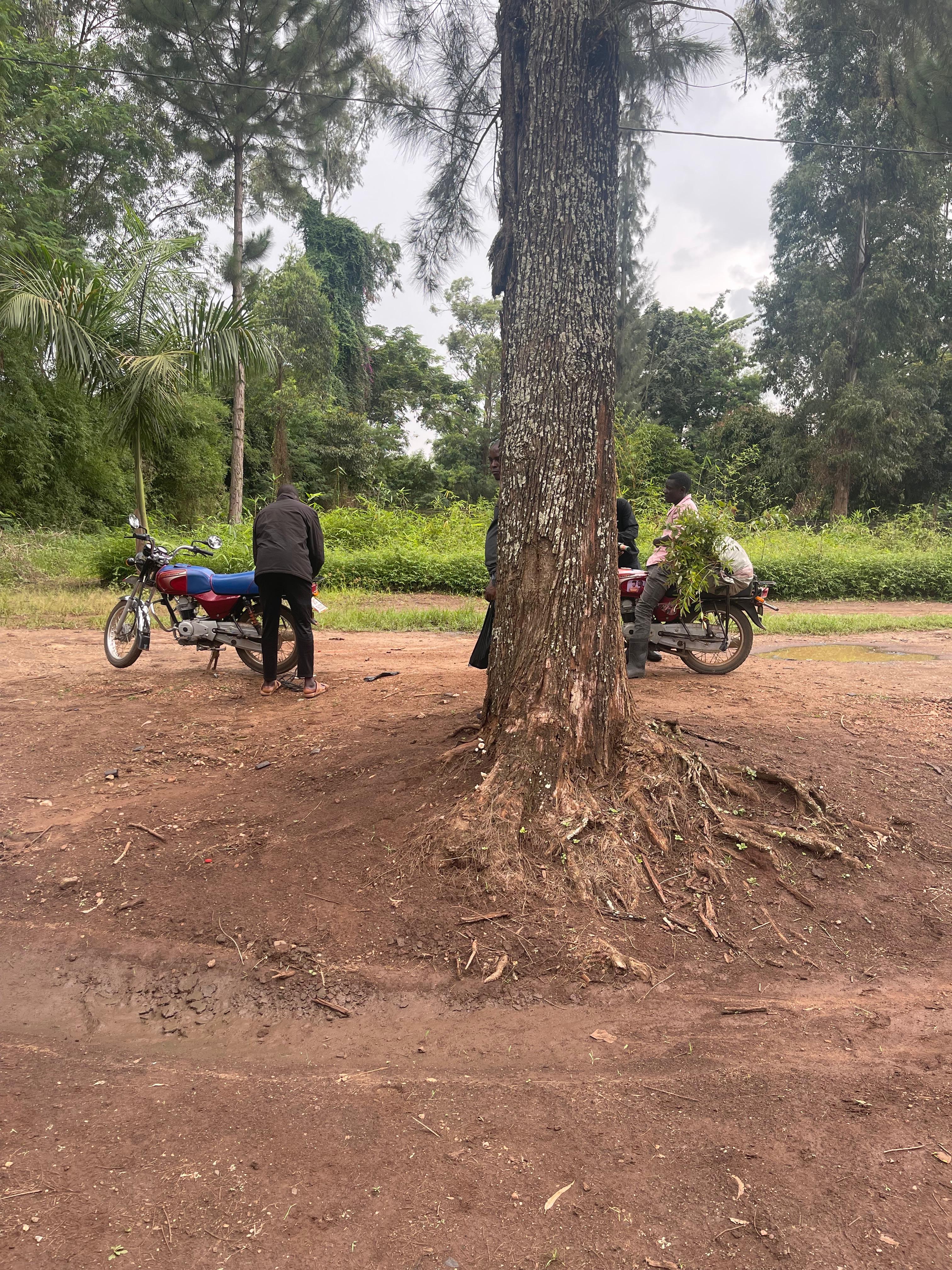 Munyona Foundation Gallery Image 69